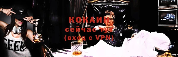 ГАЛЛЮЦИНОГЕННЫЕ ГРИБЫ Наволоки
