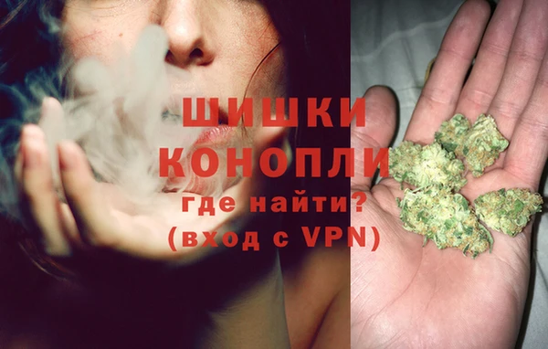 ГАЛЛЮЦИНОГЕННЫЕ ГРИБЫ Наволоки