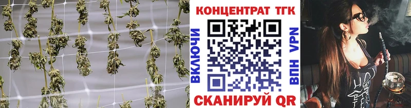 что такое Курск ТГК Wax