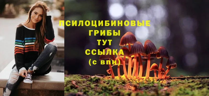 Псилоцибиновые грибы MAGIC MUSHROOMS  Курск 