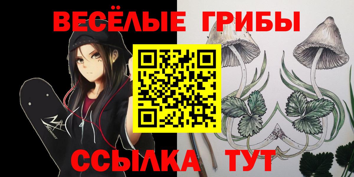 Псилоцибиновые грибы MAGIC MUSHROOMS  Вход с VPN  Курск 